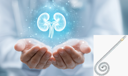 Image de la page couverture